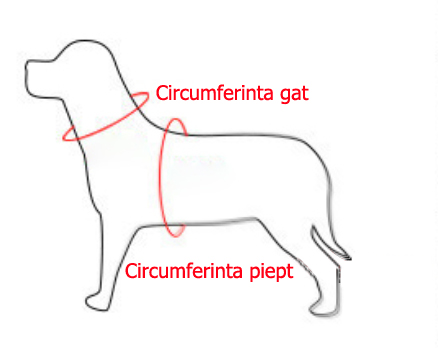 Masuratori pentru ham catei si pisici