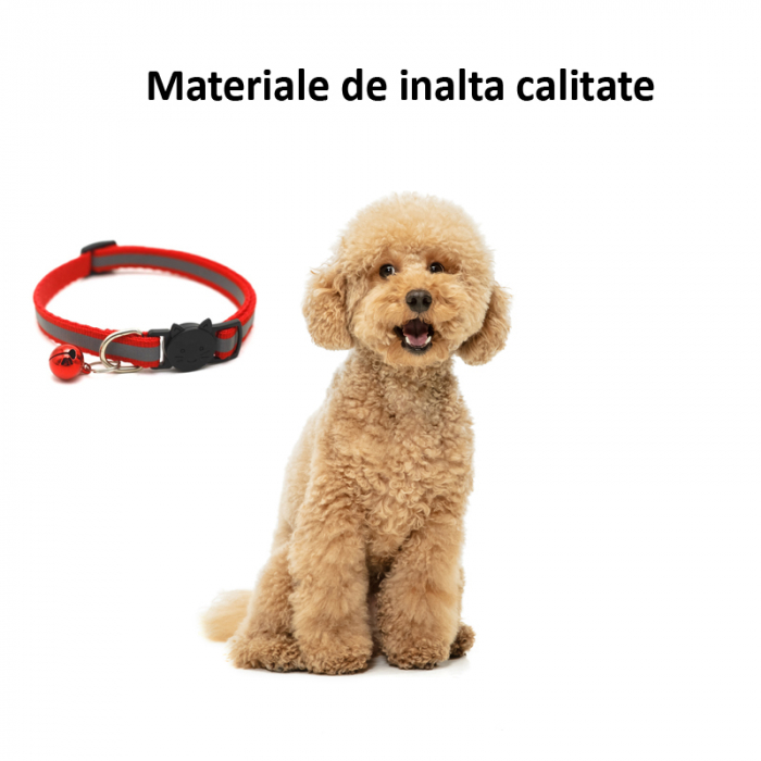 Zgarda pentru animale companie, D-211014-2, rosie