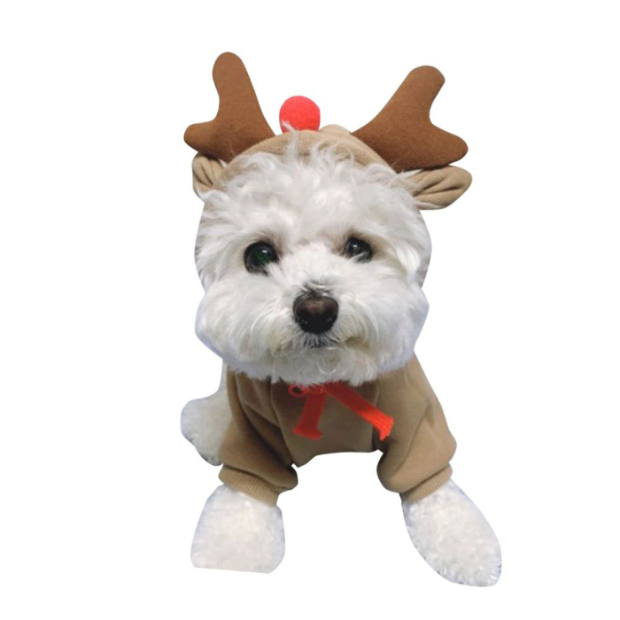 CACIULA CORNITE REN ANIMALE COMPANIE, D-220120-3, S [2]