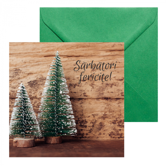 Set 10 felicitari Craciun decor rustic braduti, cu plicuri verzi, 130x130 mm [2]