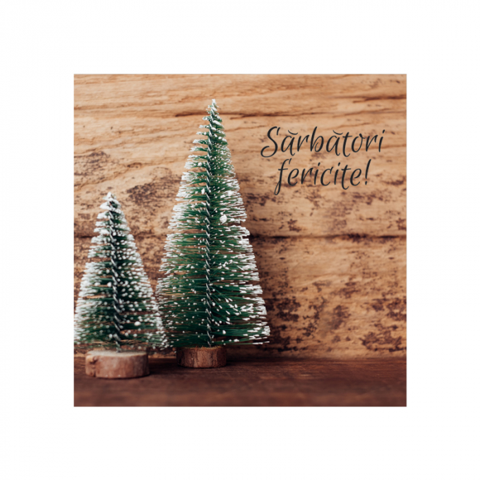 Felicitare Craciun decor rustic braduti, cu plic verde, 130x130 mm [2]