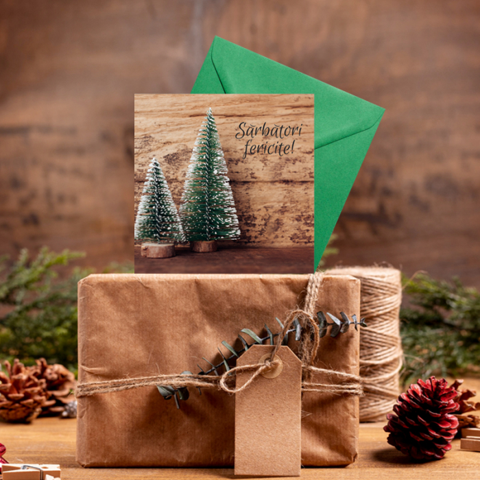 Set 10 felicitari Craciun decor rustic braduti, cu plicuri verzi, 130x130 mm [5]