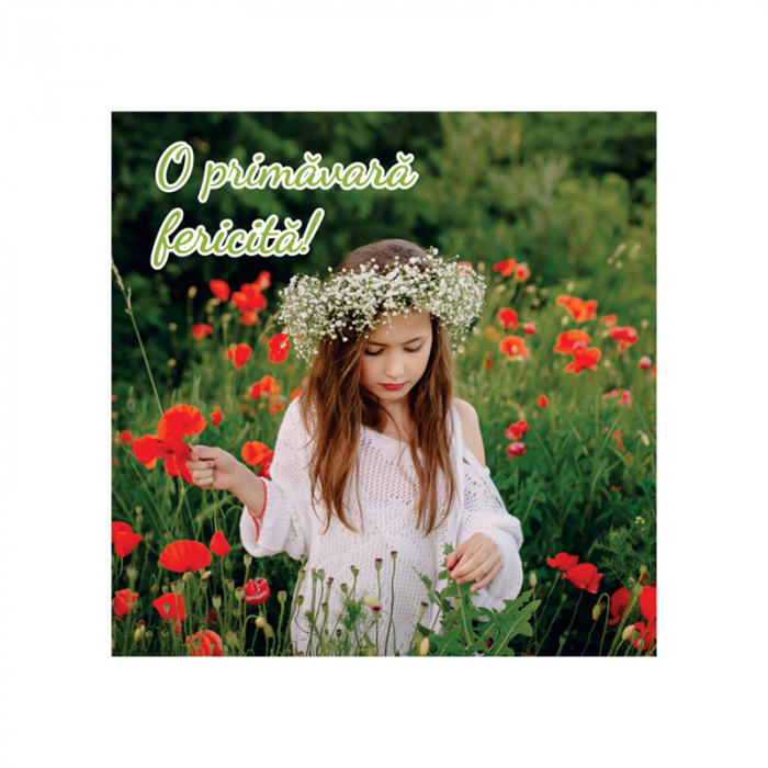 Felicitare martie fata in camp de flori [2]