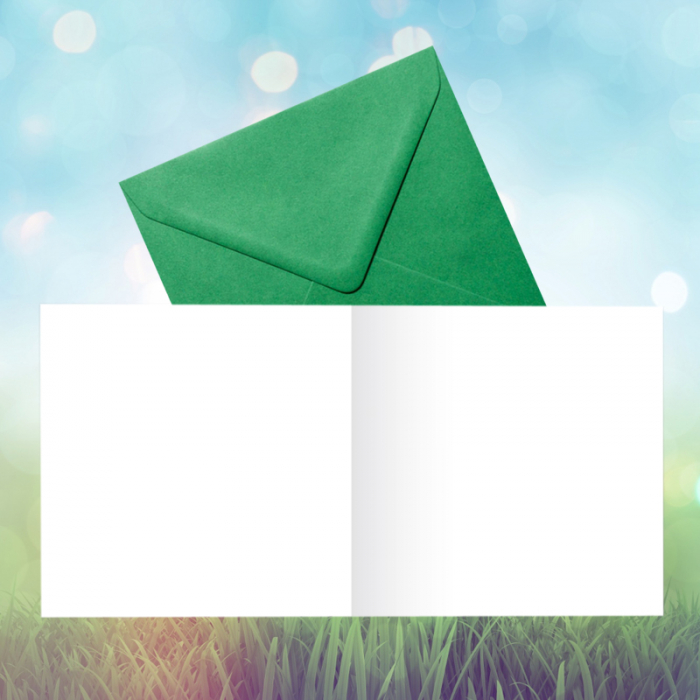 Felicitare martie flori albe [4]