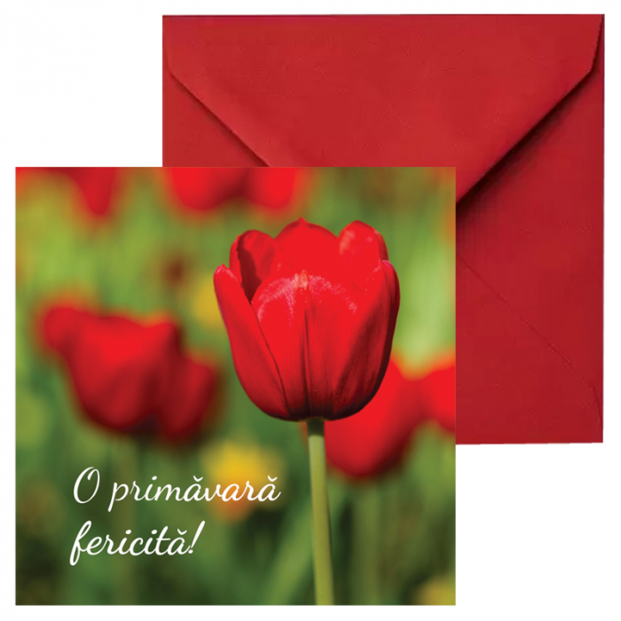 Felicitare martie lalea rosie [2]