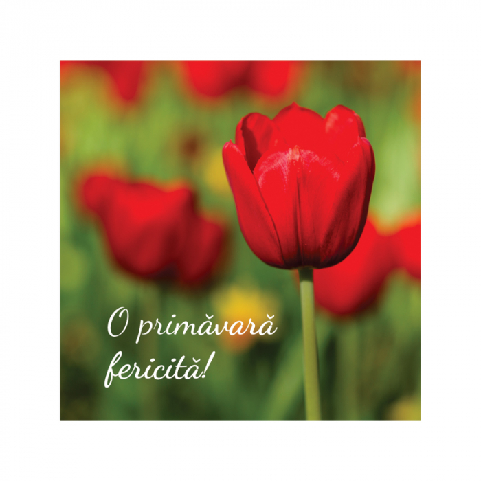 Felicitare martie lalea rosie [3]