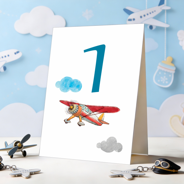 Set 10 numere mese micul aviator [2]