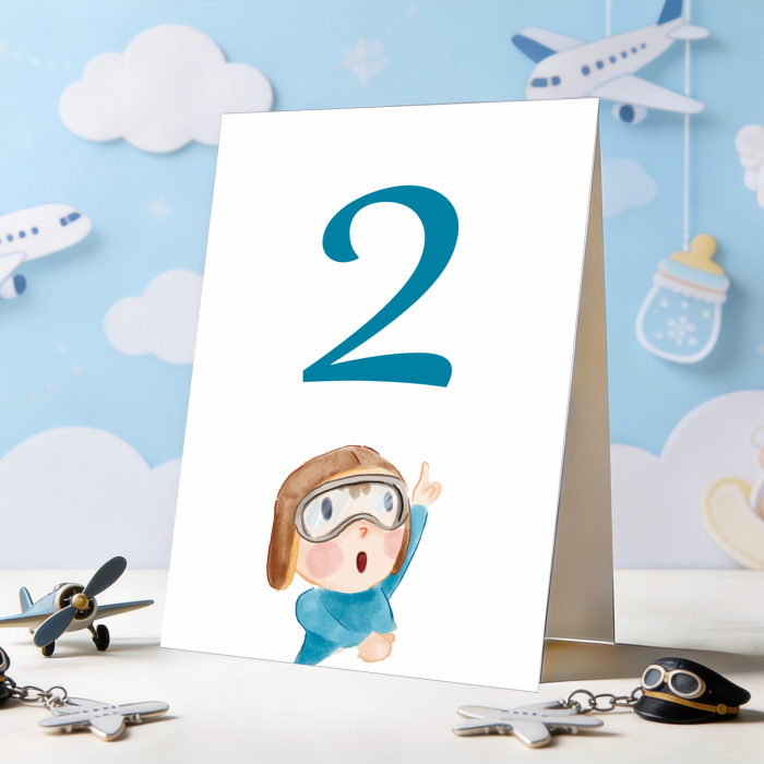 Set 10 numere mese micul aviator [3]