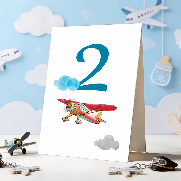 Set 10 numere mese micul aviator [4]