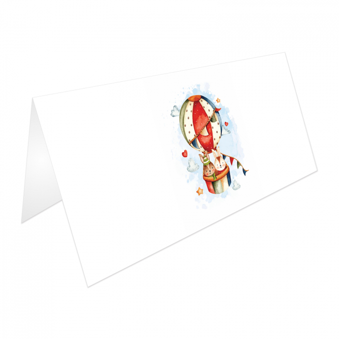 Place card si plic de bani botez balon aer cald multicolor [6]