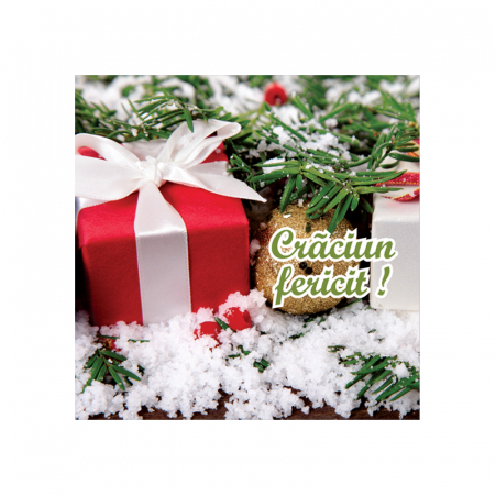 Set 10 felicitari Craciun cutie cadou, cu plicuri verzi 130x130 mm [2]