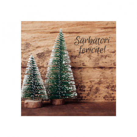 Felicitare Craciun decor rustic braduti, cu plic verde, 130x130 mm [1]