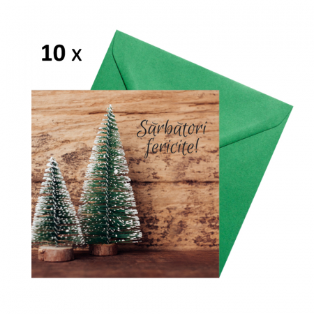 Seturi felicitari Craciun - Set 10 felicitari Craciun decor rustic braduti, cu plicuri verzi, 130x130 mm