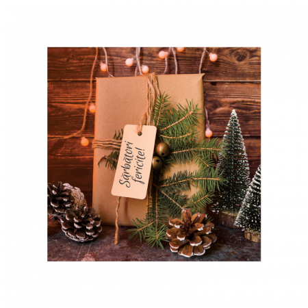 Set 10 felicitari Craciun decor rustic cutie cadou, cu plicuri verzi, 130x130 mm [2]