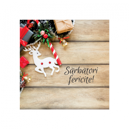 Set 10 felicitari Craciun decor rustic ornamente, cu plicuri verzi, 130x130 mm [2]