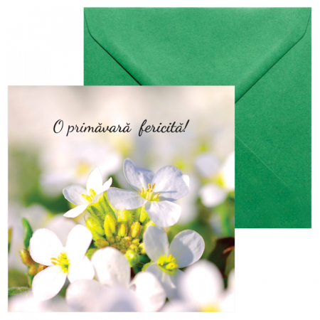 Felicitare martie flori albe [1]