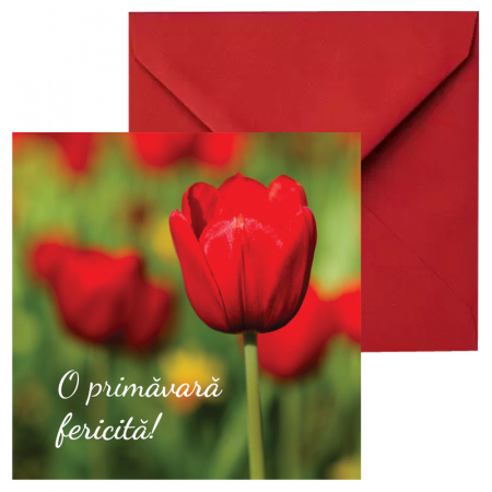 Felicitari Martie mix poze - Felicitare martie lalea rosie