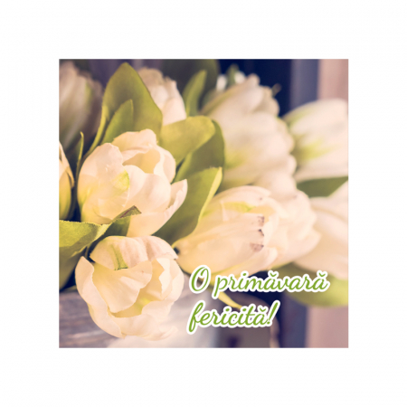 Felicitare martie lalele albe [1]