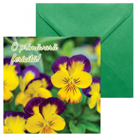 Felicitari Martie mix poze - Felicitare martie panselute