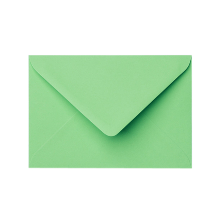 Invitatie de nunta Botanical Elegance, cu plic verde pastel [5]