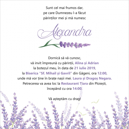 PRODUSE DIGITALE - Invitatie electronica botez fluturasi mov
