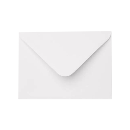 Invitatie nunta minimalista frunzulite monocrome plic alb Atelier Vivace [5]