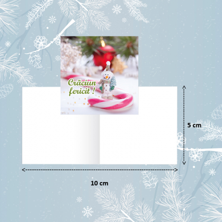Minifelicitari Craciun - Minifelicitari Craciun om de zapada - set 10 buc