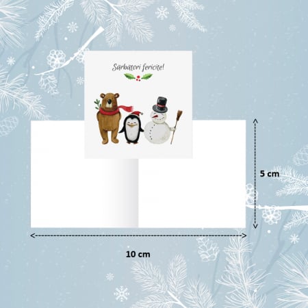 FELICITARI - Minifelicitari Craciun Prietenie - set 10 buc