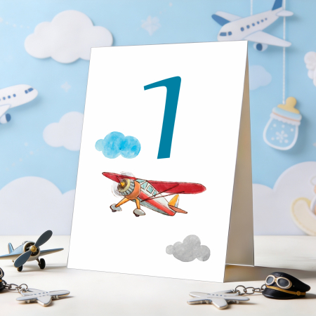 Set 10 numere mese micul aviator [1]