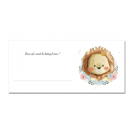 Place cards botez - Place card plic de bani botez bebe leu
