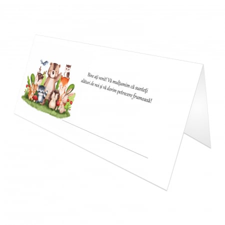 PAPETARIE - place card plic de bani animalute padure