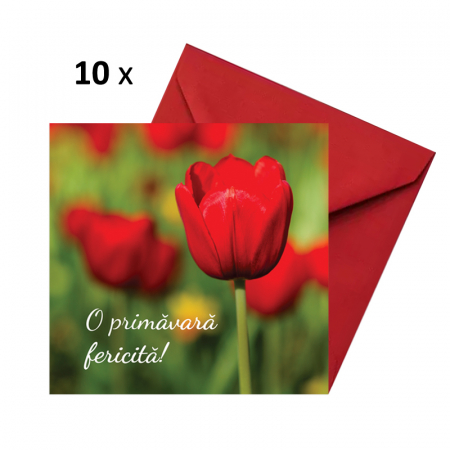 Felicitari Martie - Felicitare martie lalea rosie