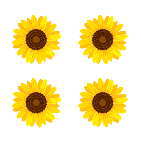 Stickere - Stickere floarea-soarelui
