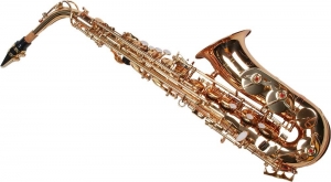 Saxofon Alto Karl GlaserÂ® Auriu curbat Gold Saxophone Neuenkirchen-Germany