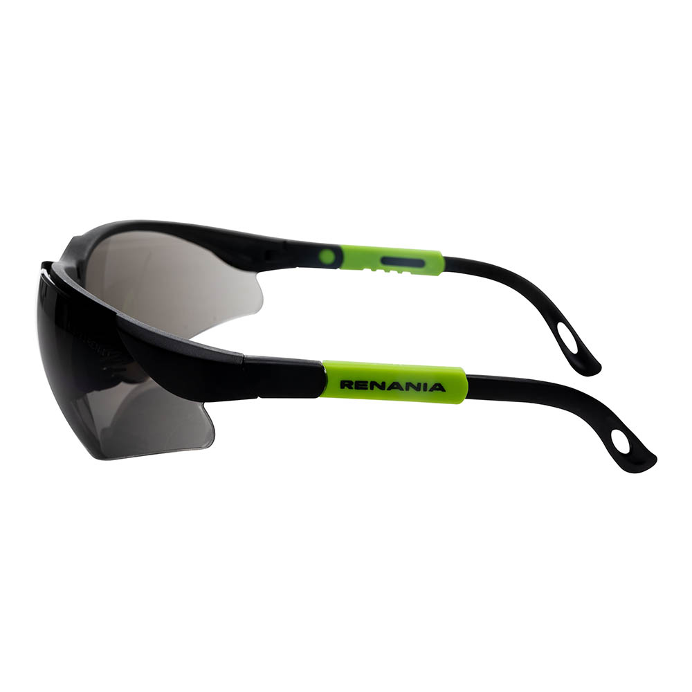Ochelari de protectie Aquila Star Grey, Renania, ART. 37D7 [3]