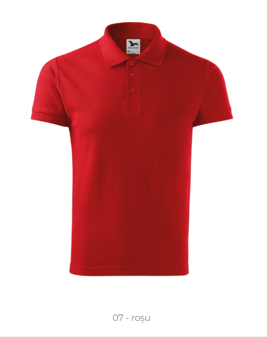 Tricou Barbati Cotton Heavy 215 [4]
