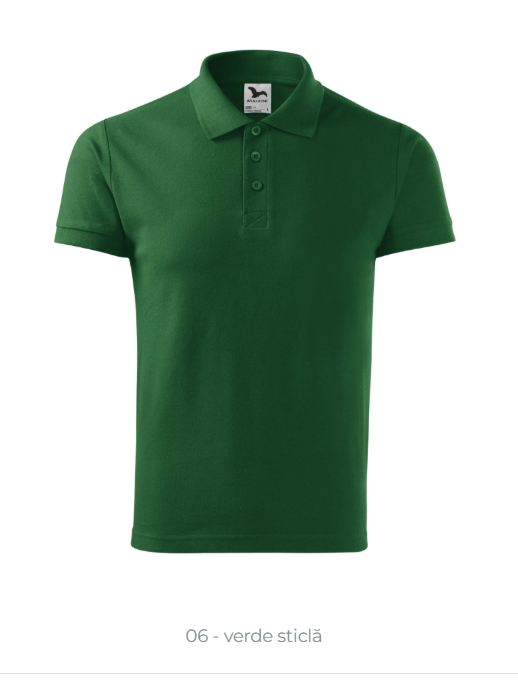 Tricou Barbati Cotton Heavy 215 [9]