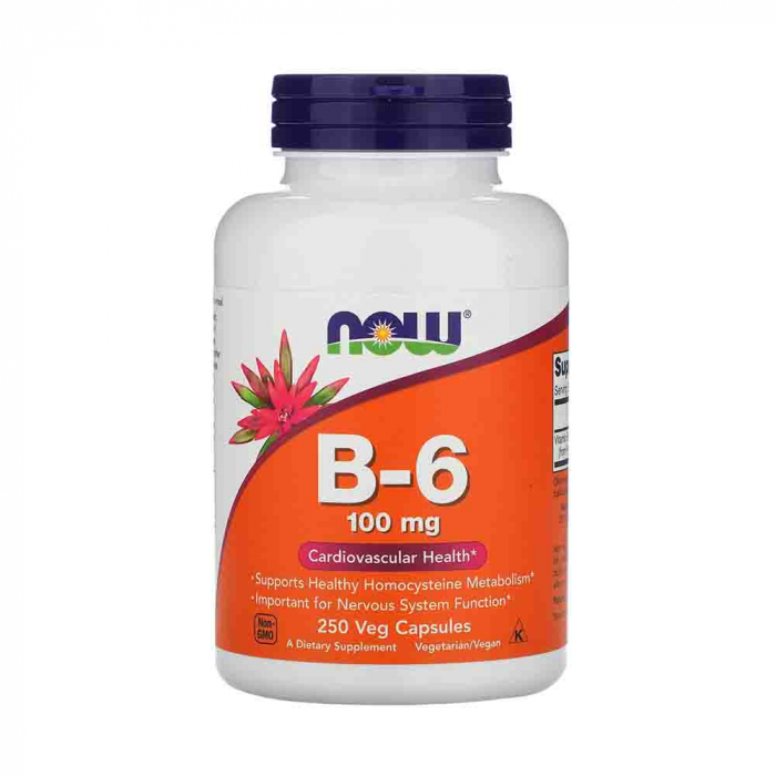 Vitamina B-6 (Piridoxina), 100mg, Now Foods, 100 Capsule