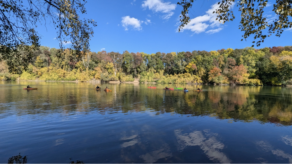 Liniștea care curge odată cu apa – ieșiri cu caiacul în Lunca Mureșului