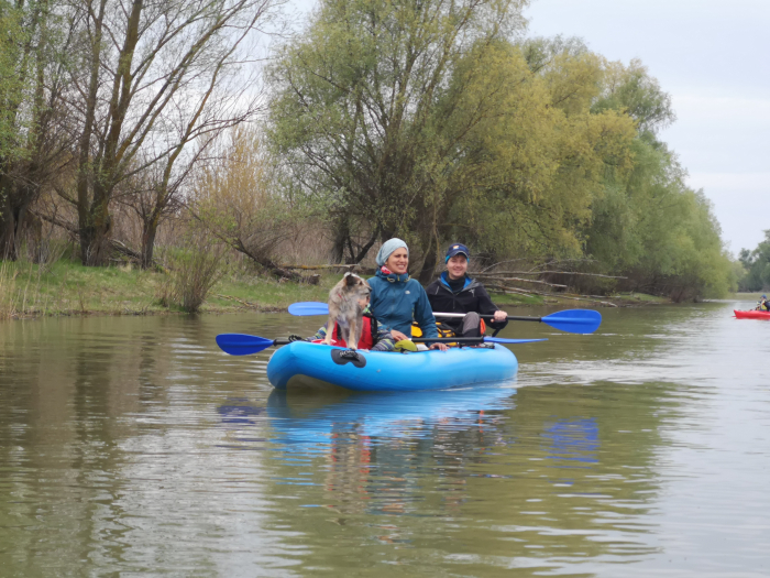 Spring kayaking on Mureș River [4]