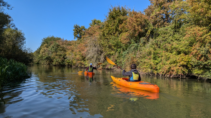 Feerie de toamnă: cu caiacul pe Bega Sălbatică [4]