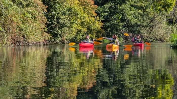 Feerie de toamnă: cu caiacul pe Bega Sălbatică [2]