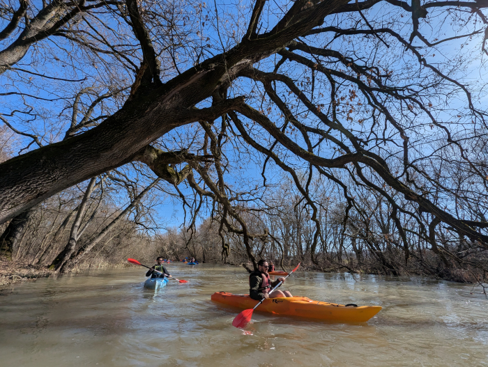 Vestitorii primăverii! Cu caiacul pe Bega sălbatică [5]