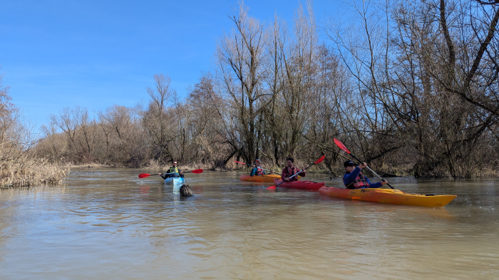 Vestitorii primăverii! Cu caiacul pe Bega sălbatică [6]