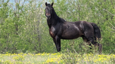 Cu caiacul pe Ostrovul Moldova Veche! [0]