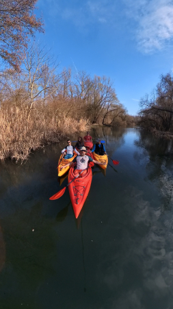 Kayaking - Vestitorii primăverii! Cu caiacul pe Bega sălbatică