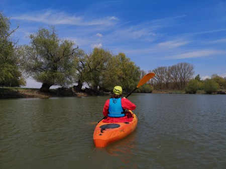 Spring kayaking on Mureș River [1]