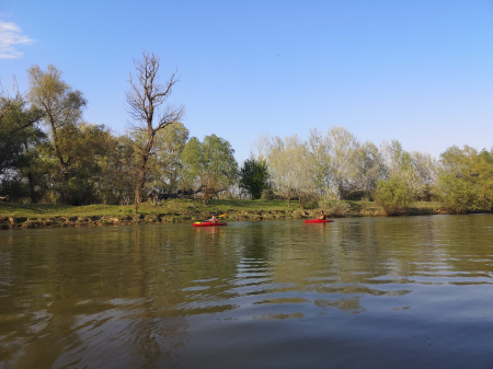 Spring kayaking on Mureș River [4]