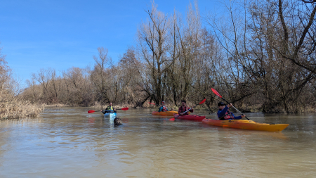 Vestitorii primăverii! Cu caiacul pe Bega sălbatică [5]