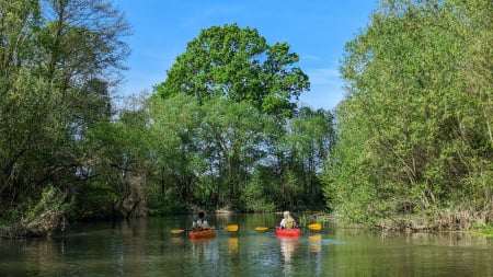 Kayaking - Weekend cu caiacul pe Bega sălbatică
